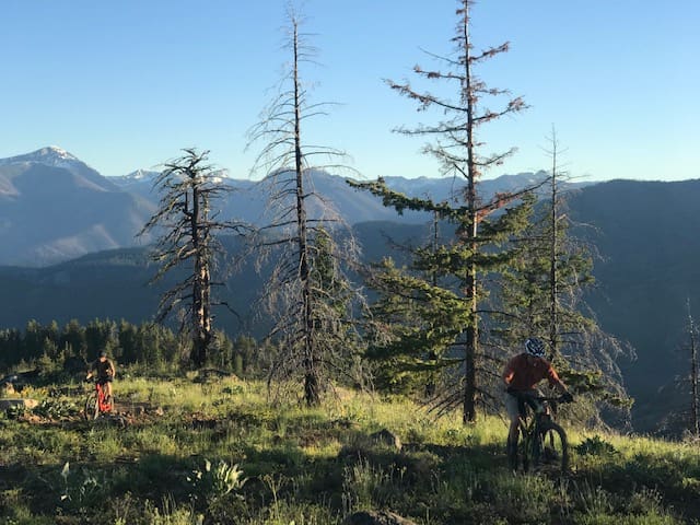 Two men on mountain bikes with snow capped mountains in the background.