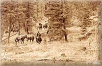 History of Methow Valley Packstring, horses, History of Winthrop