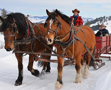 sleigh rides in winthrop washignton winter wonderland