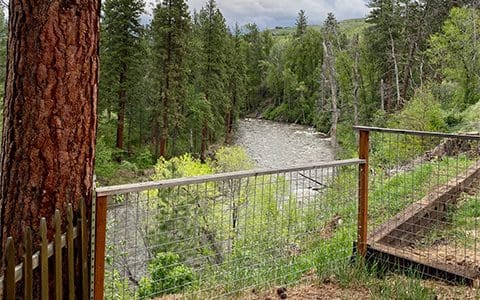 IMG 0353 p3n598dc9psez5o5i8wh0hadvsx522ql5n7w4sr648